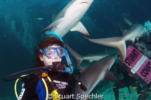 A young diver (my granddaughter) couldn't be happier to b... by Stuart Spechler 